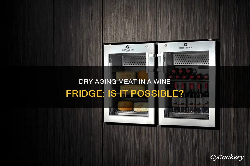 can i use a wime refrigerator to dry age meat