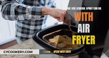 Air Fryer Oil Options: Aerosol Spray Can Oil?