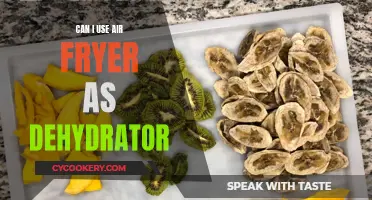 Air Fryer Dehydrator: Is It Possible?