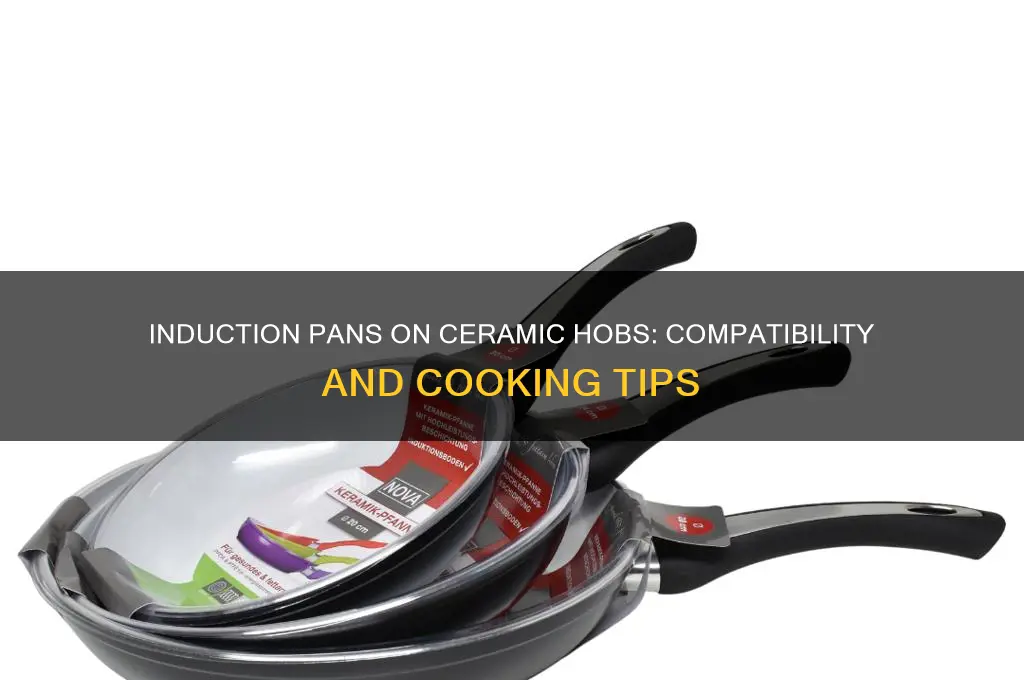 can I use an induction pan on a ceramic hob