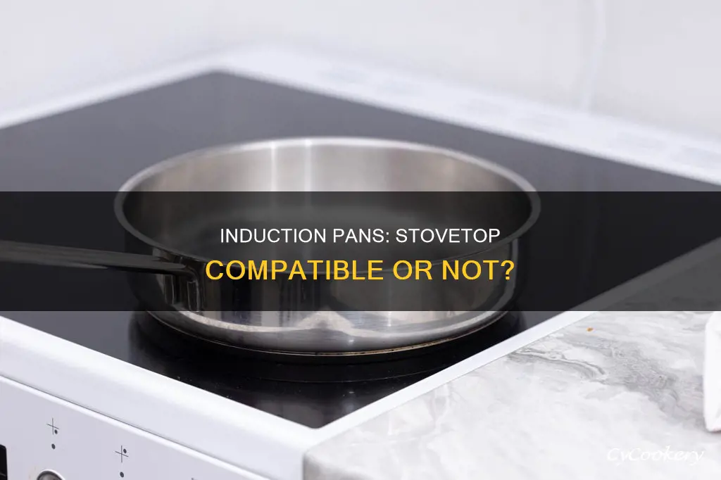 can I use an induction pan on a regular stove