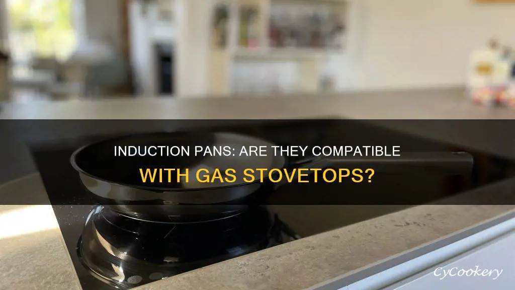can I use an induction pan on gas