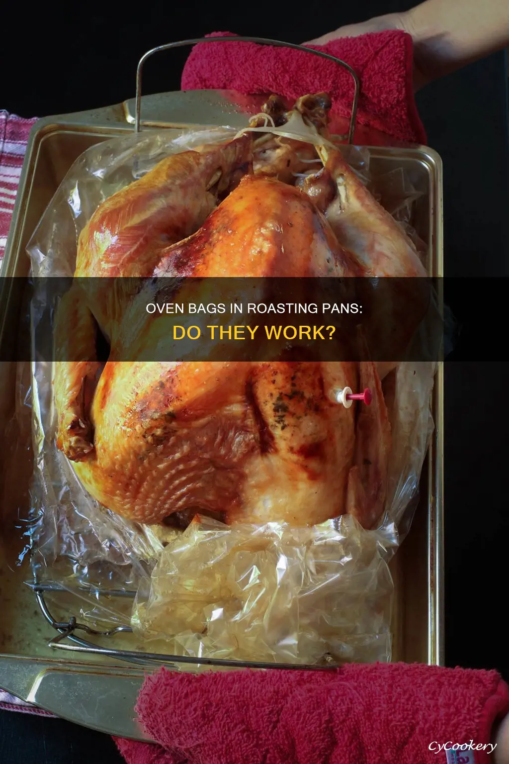 can I use an oven bag in a roasting pan