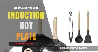 Induction Hot Plates: What Pans Work?