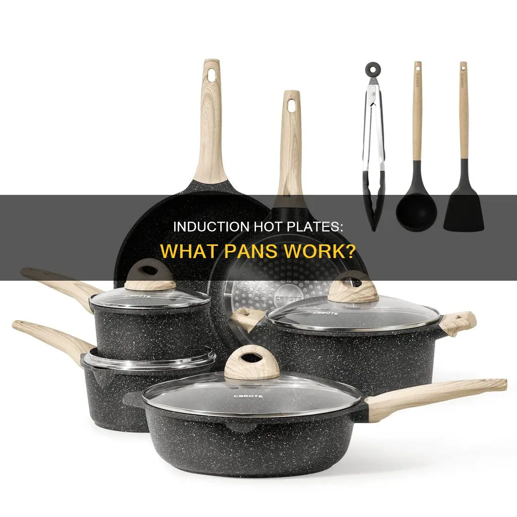 can I use any pans on an induction hot plate