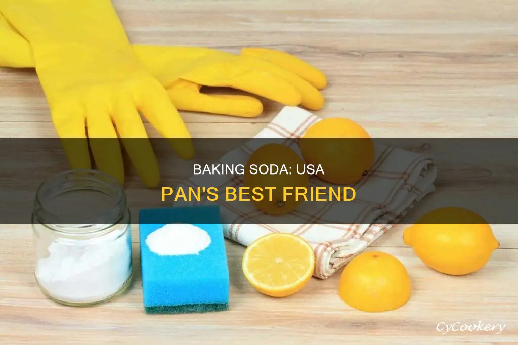 can I use baking soda to clean usa pan