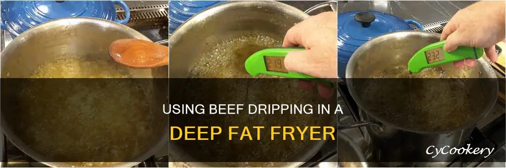 can i use beef dripping in my deep fat fryer