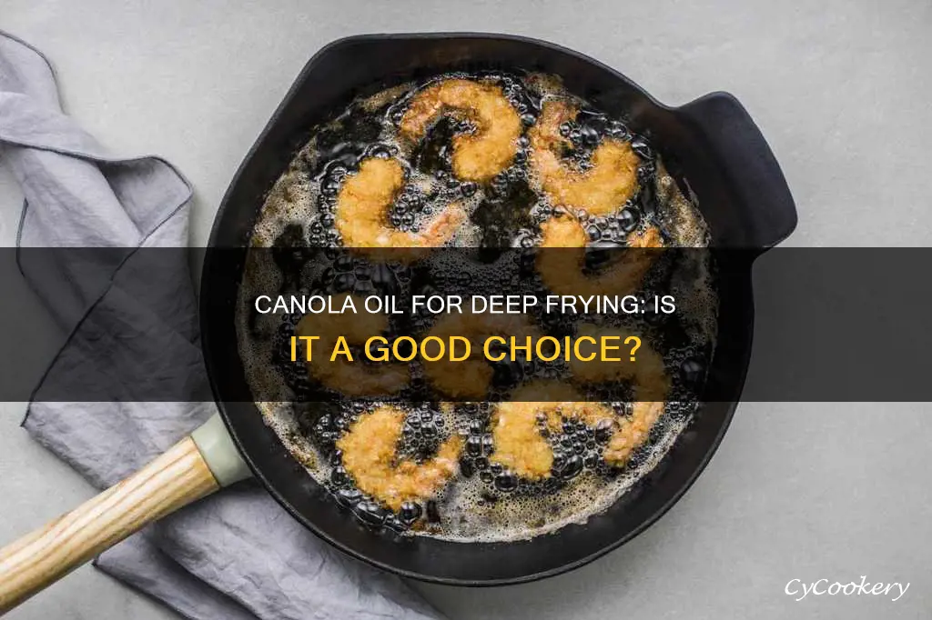 can i use canola in a deep fryer