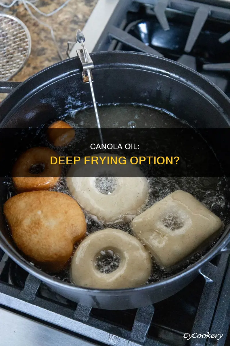 can i use canola oil in deep fryer