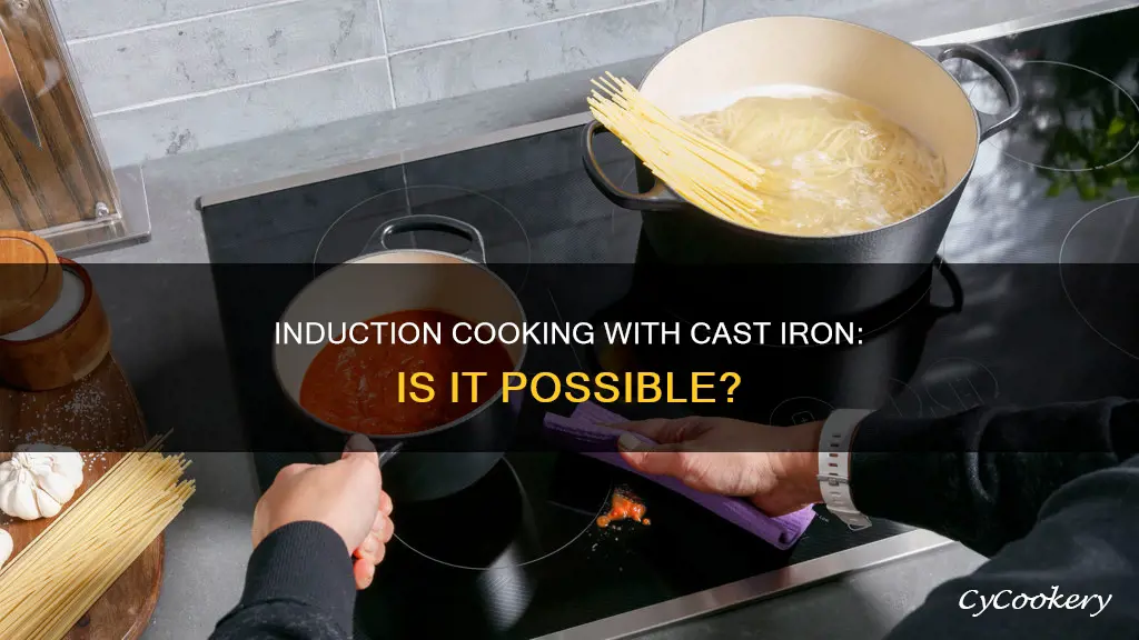 can I use cast iron pan on induction stove