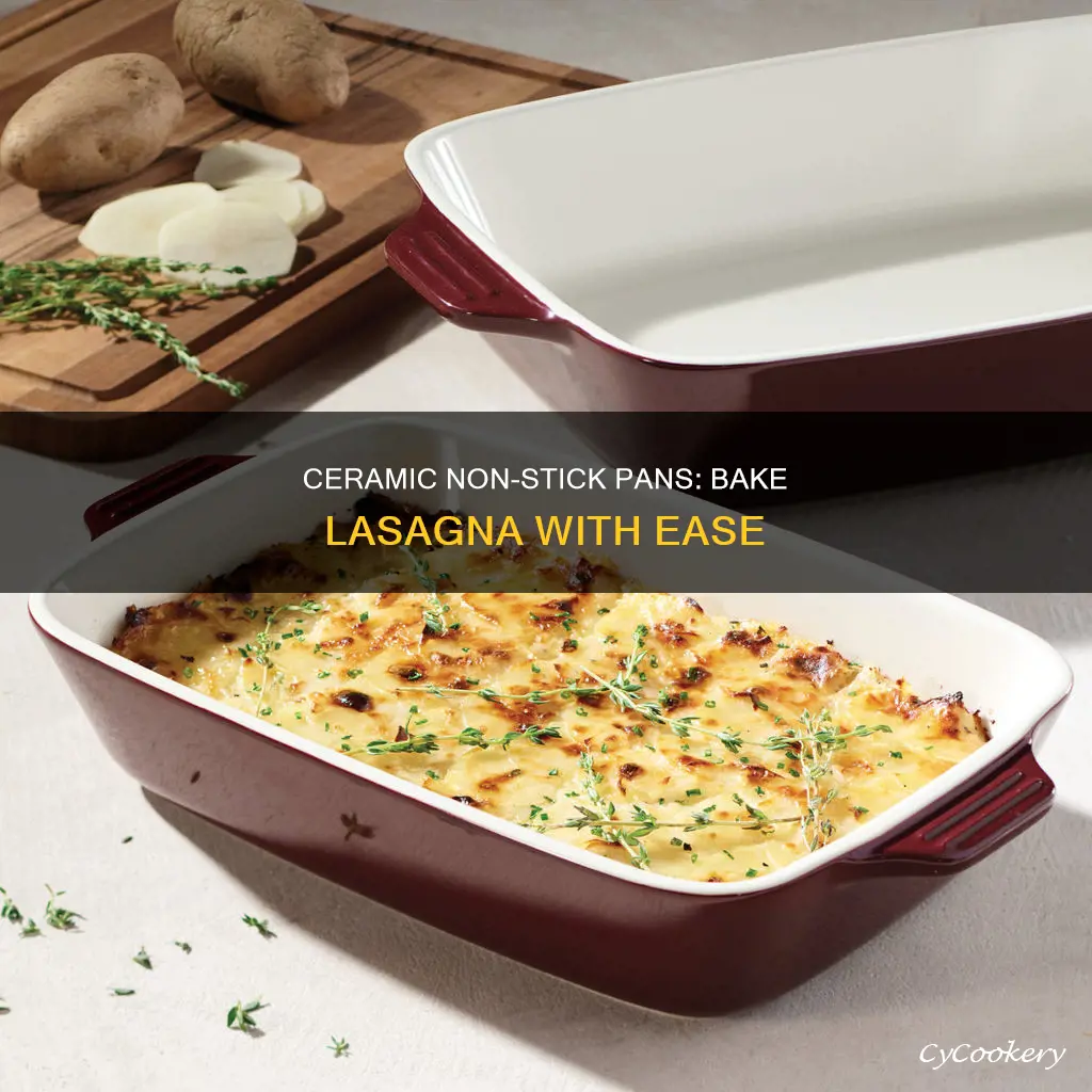 can I use ceramic non stick pan for lasagna baking