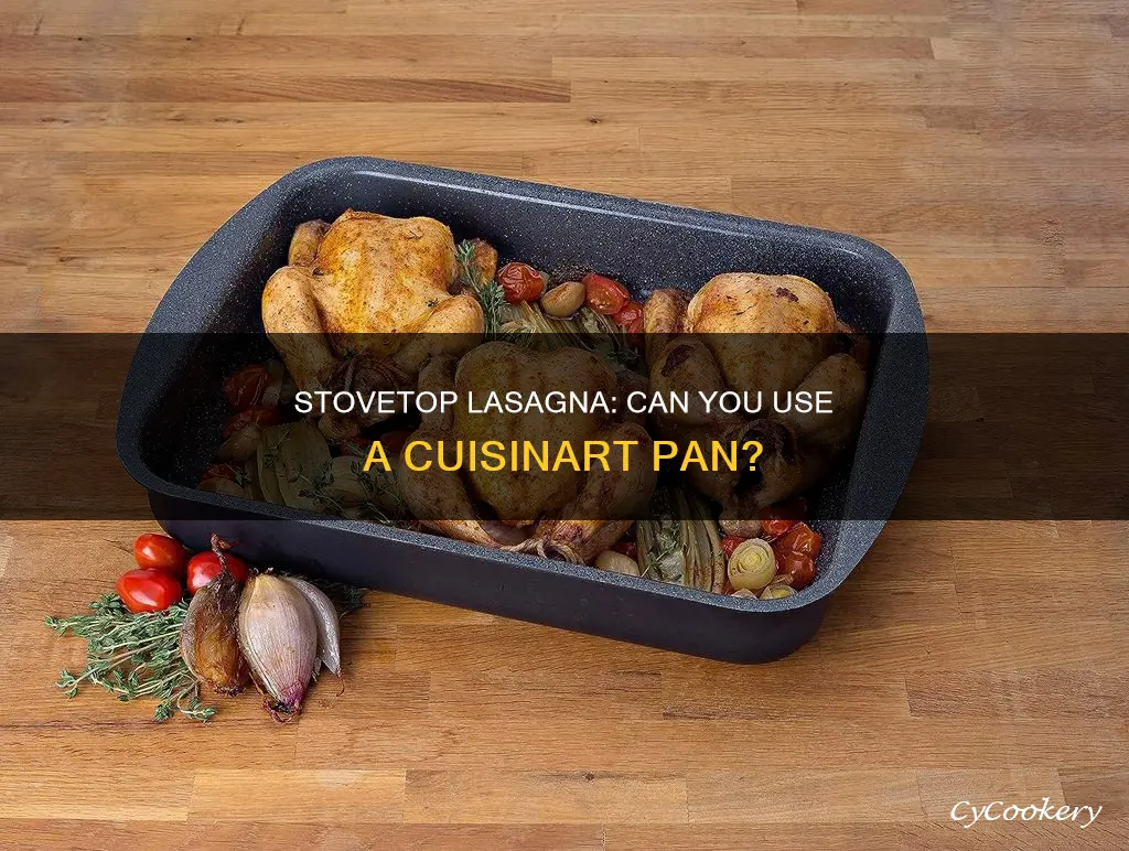 can I use cuisinart lasagna pan on stovetop