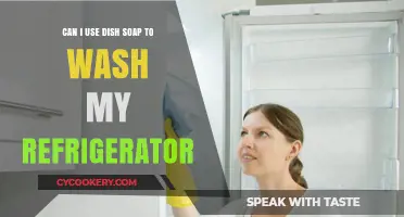 Dish Soap for Fridge Cleaning: Safe and Effective or Not?