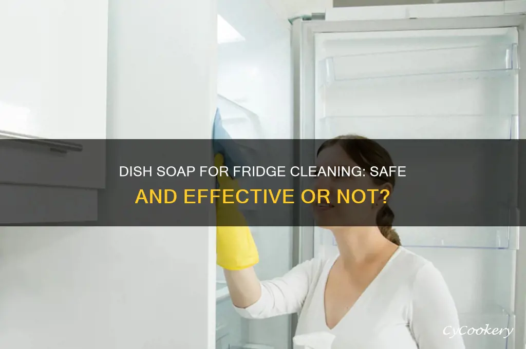 can i use dish soap to wash my refrigerator