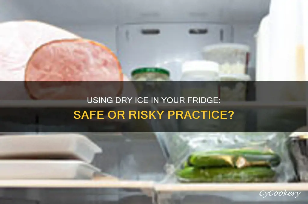 can i use dry ice in my refrigerator