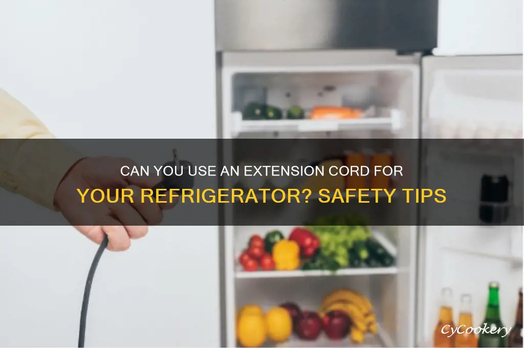 can i use extension for refrigerator