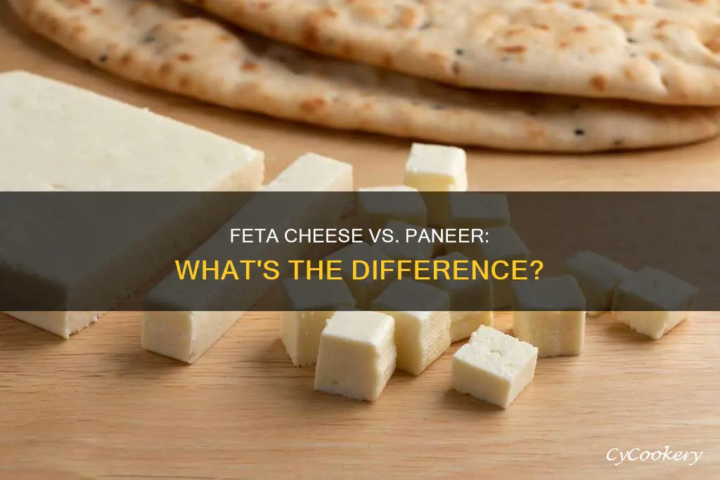 can I use feta cheese instead of paneer