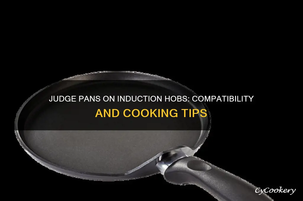 can I use judge pans on an induction hob