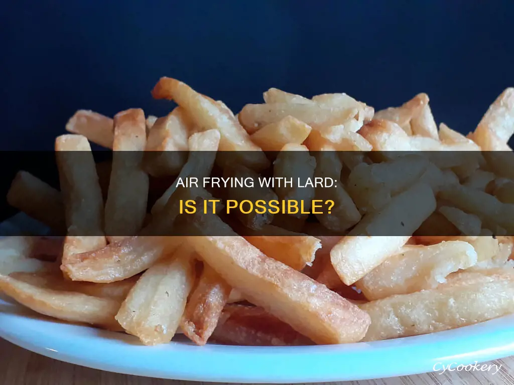 can i use lard in an air fryer