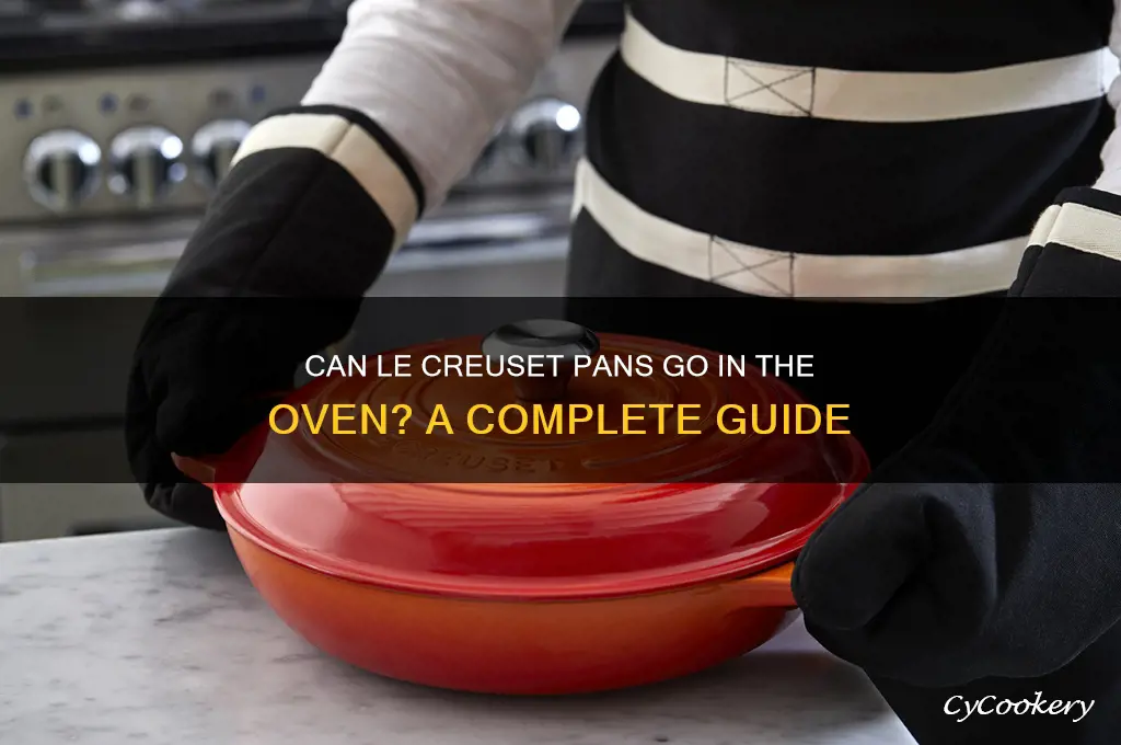 can I use le creuset pan in oven
