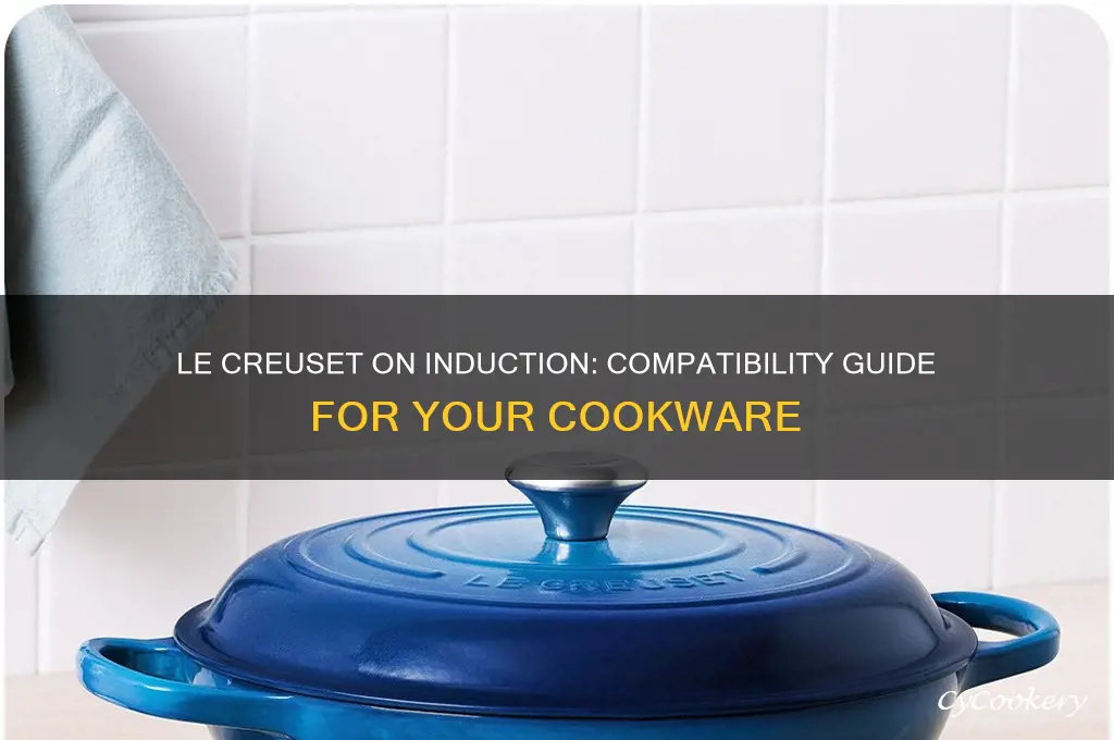 can I use le creuset pans on an induction hob