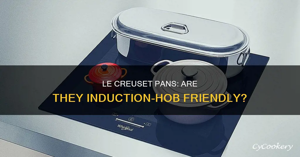 can I use le creuset pans on induction hob