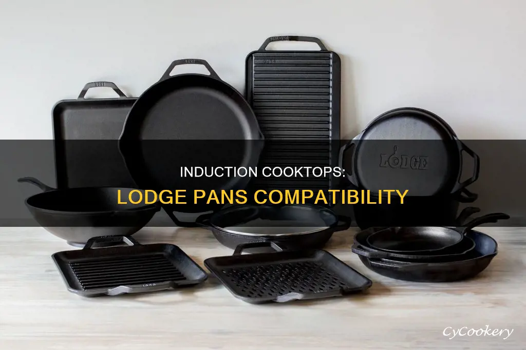 can I use lodge pans on my induction cooktop