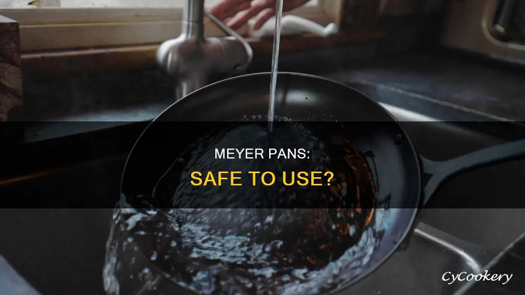 can I use meyers on pans