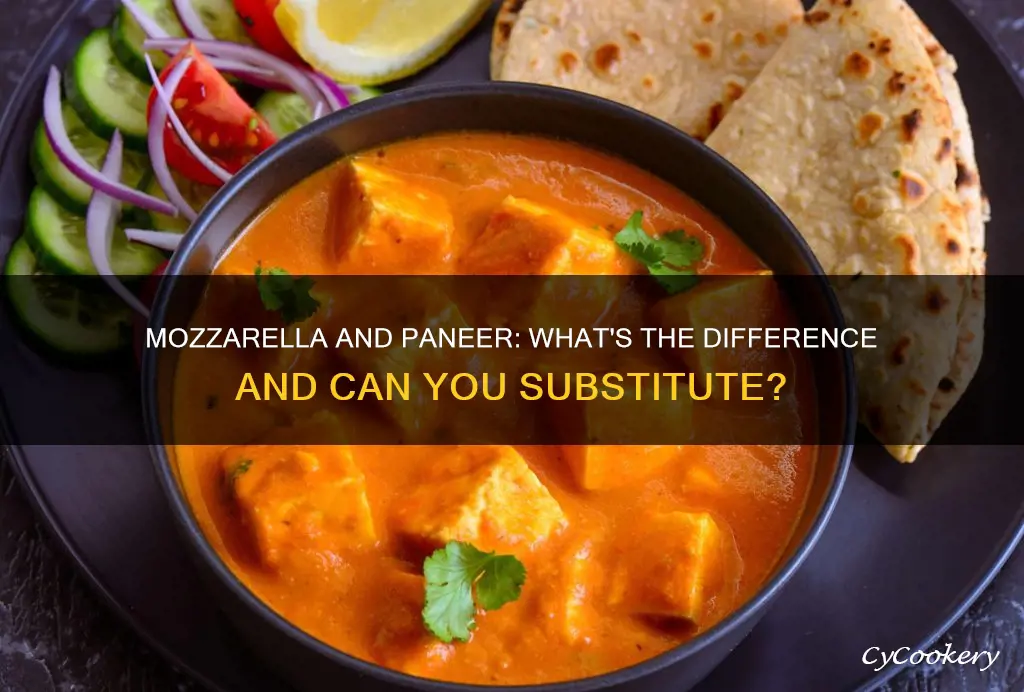 can I use mozzarella instead of paneer