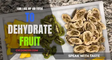 Air Fryer Fruit Dehydration: A Healthy Snacking Revolution