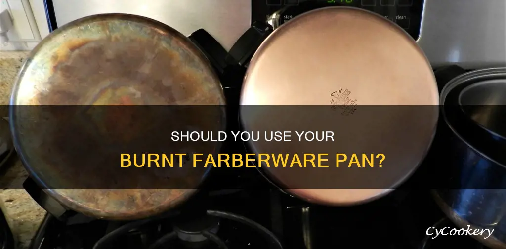 can I use my burnt farberware pan