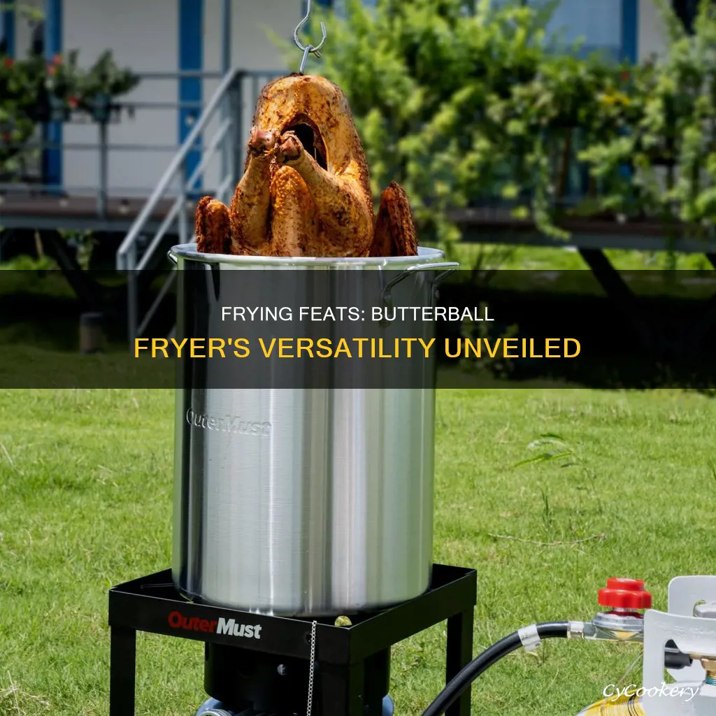 can i use my butterbal turkey fryer to fry anythinf