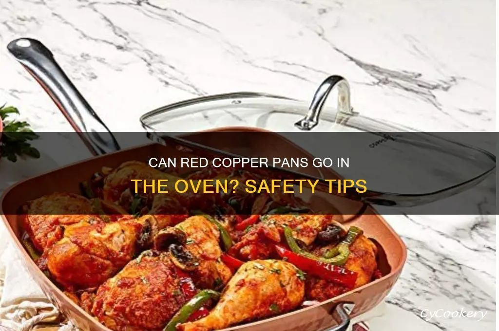 can I use my red copper pan in the oven