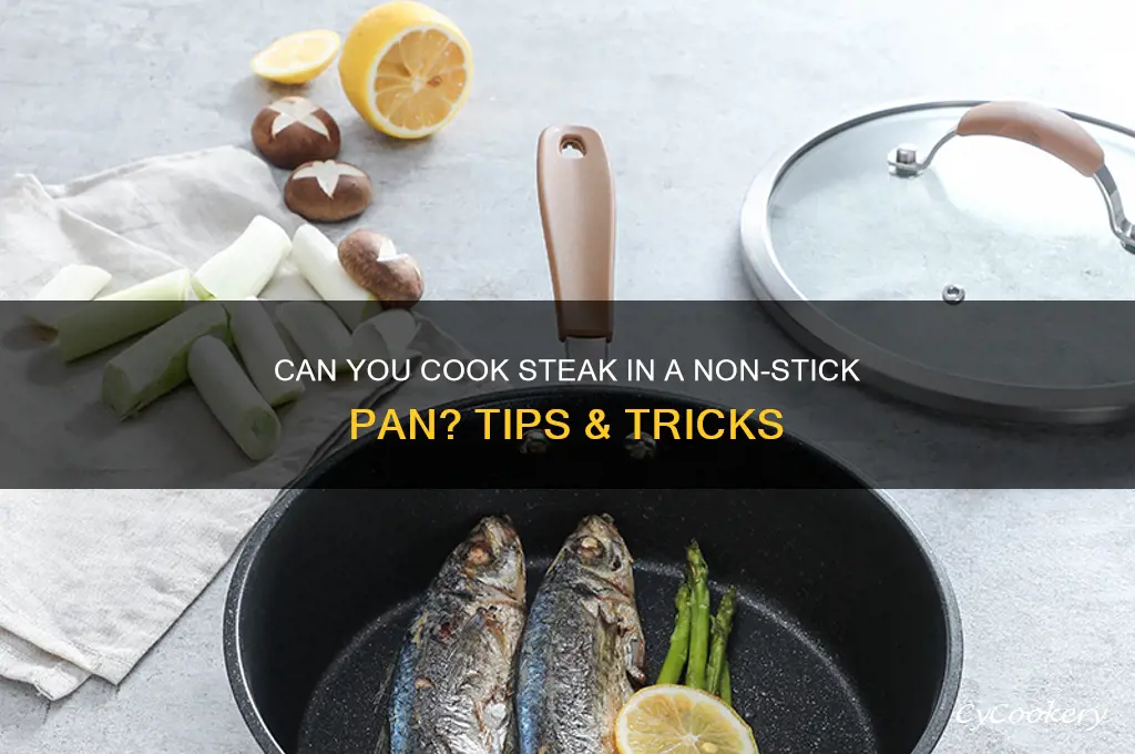 can I use non stick pan for steak