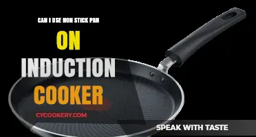 Induction Cooking: Non-Stick Pans, Safe or Not?