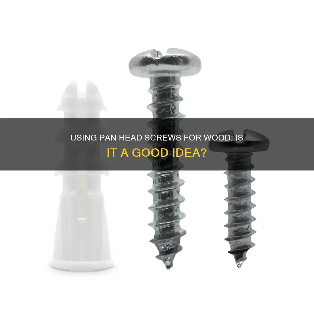 can I use pan head screws on wood