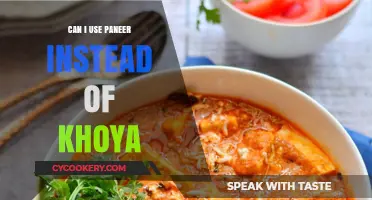 Paneer vs Khoya: Can You Substitute One for the Other?