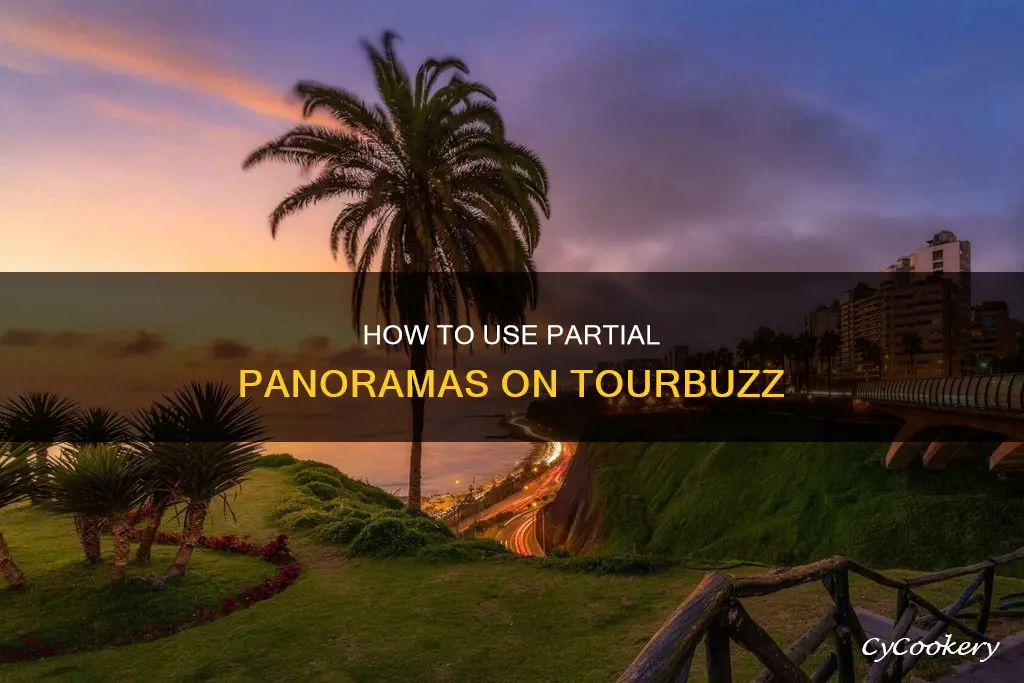 can I use partial pano on tourbuzz