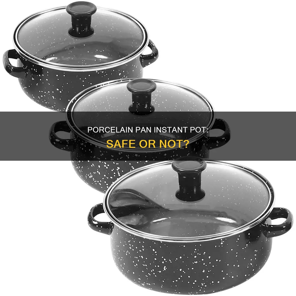 can I use porcelain pan instant pot