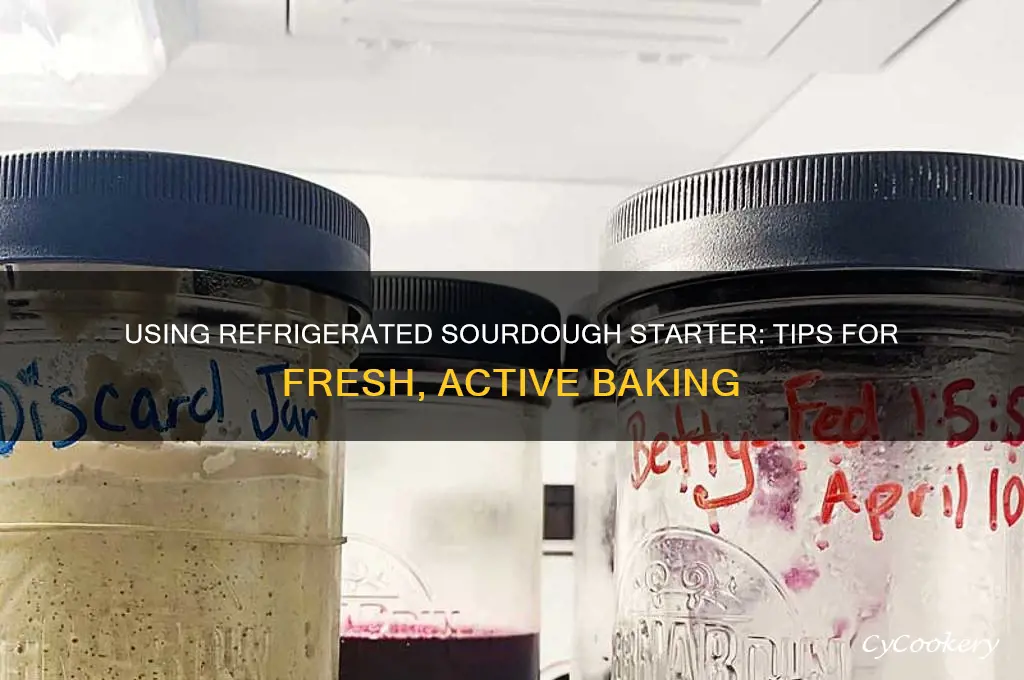 can i use refrigerated sourdough starter
