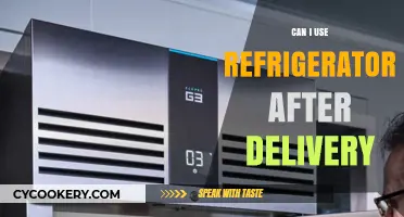 Using Your Refrigerator Post-Delivery: Safety Tips and Guidelines