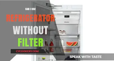 Using a Refrigerator Without a Filter: Risks and Alternatives Explained