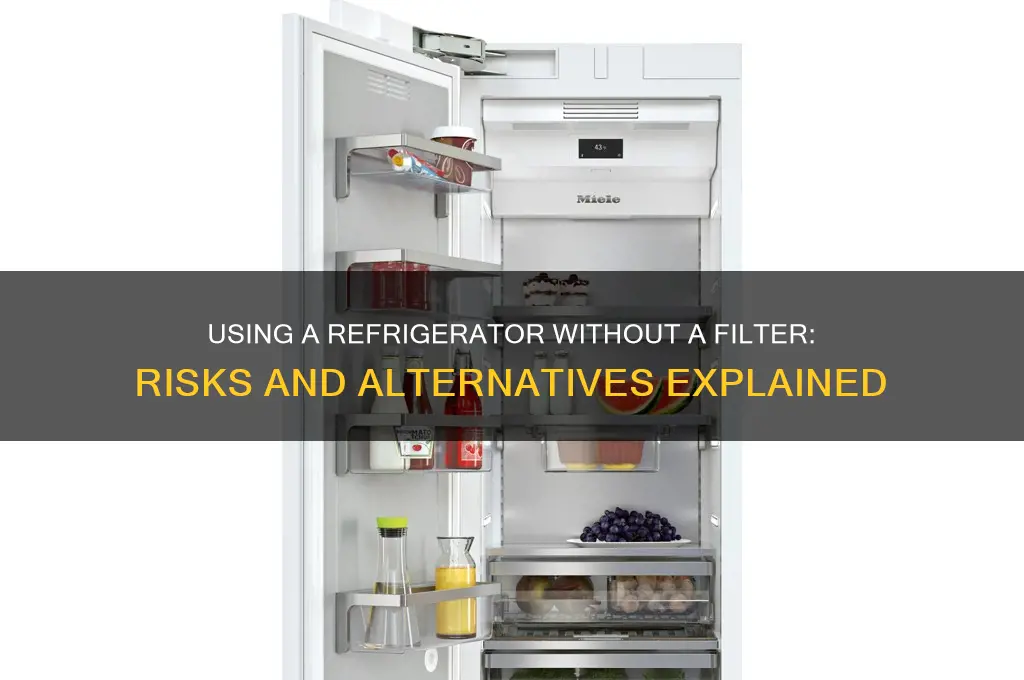 can i use refrigerator without filter