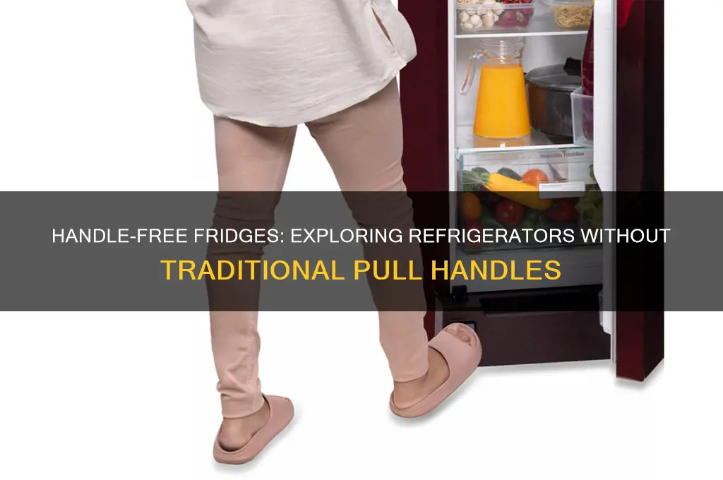 can i use refrigerator without handles