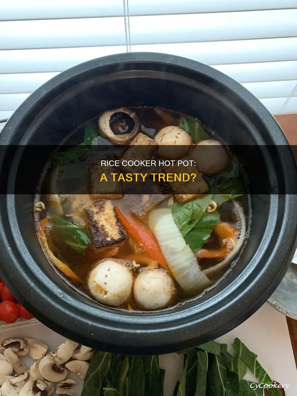 can I use rice cooker for hot pot