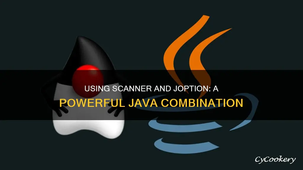 can I use scanner and joption pane