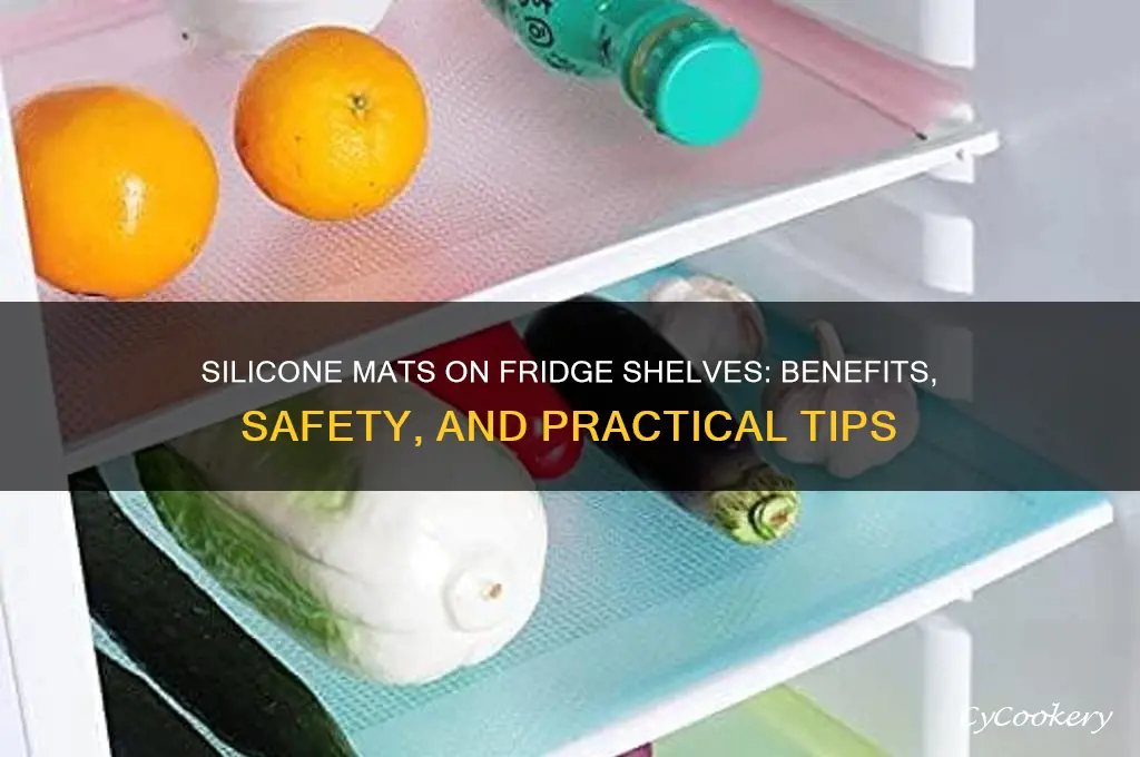 can i use silicomeon my refrigerator shelfs