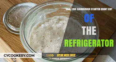Using Cold Sourdough Starter: Straight from the Fridge Tips