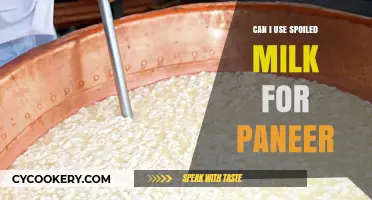 Spoiled Milk for Paneer: Is It Possible?