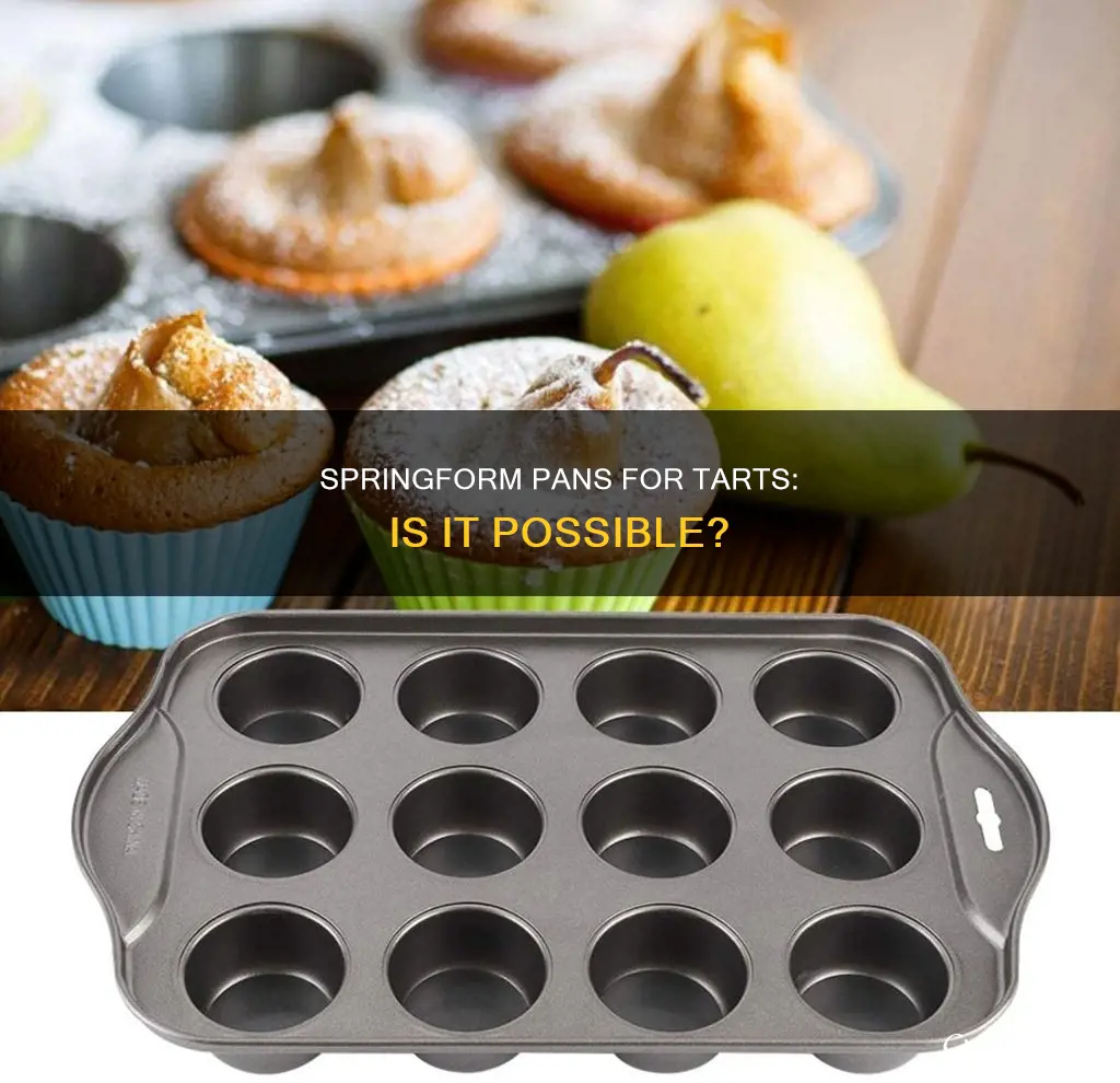 can I use springform pan for tart